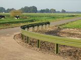 Schutzplanke Typ B gebogen